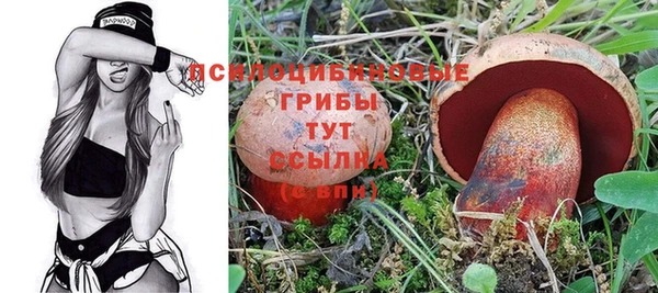 индика Богородицк