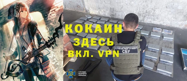 индика Богородицк