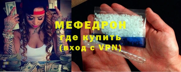 индика Богородицк
